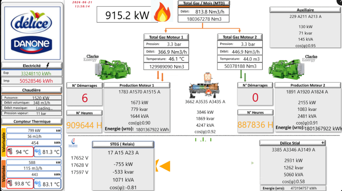 Cogeneration & Gas Network